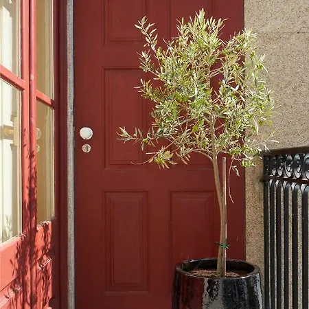 The A5 Smart Luxury * Porto